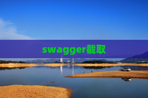 swagger截取